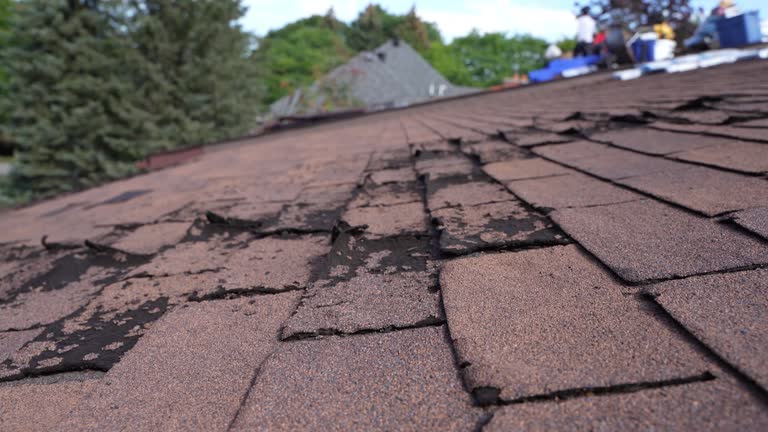 Best Roof Coating and Sealing  in Watts Mills, SC