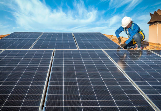 Best Roof Moss and Algae Removal  in Watts Mills, SC
